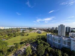 Ivory Heights (D22), Condominium #573705411